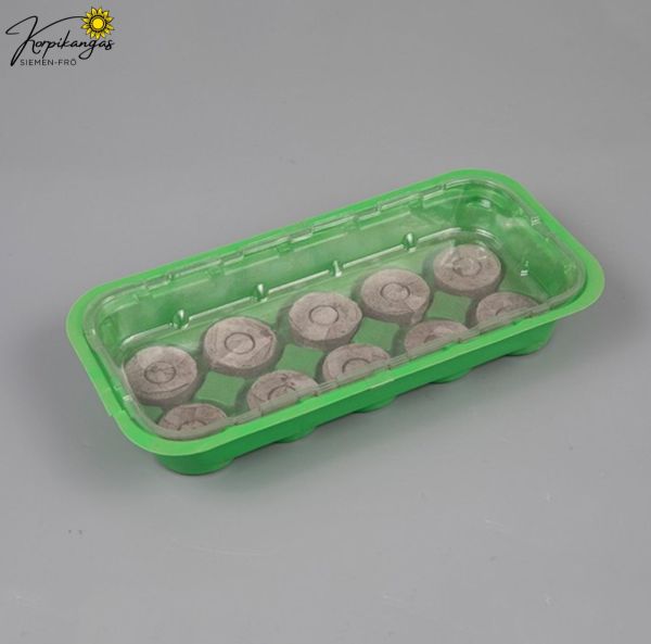 Miniväxthus, set med 10 celler